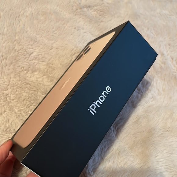 iPhone 11 Pro Max Rose Gold Box - Picture 2 of 5